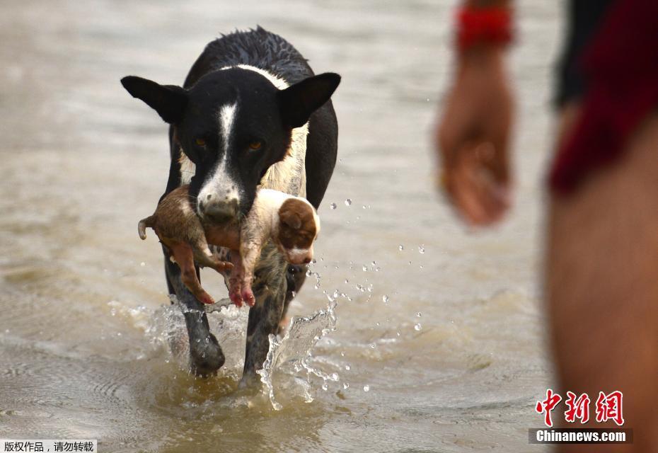 免費的網(wǎng)站后臺管理系統(tǒng)_鳳凰周刊：如果不靠高考，你該如何體面地出人頭..
