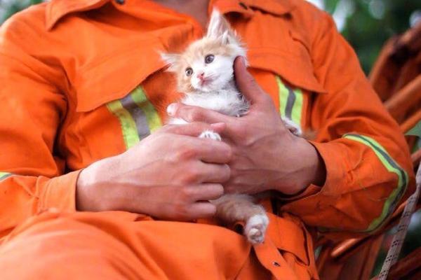 外網(wǎng)瀏覽國(guó)家禁止嗎_媒體：韓國(guó)發(fā)了份