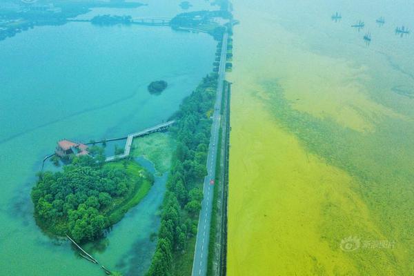 楊冪baby倪妮李念穿無袖連衣裙那么美！還不是因為她們沒有拜拜肉