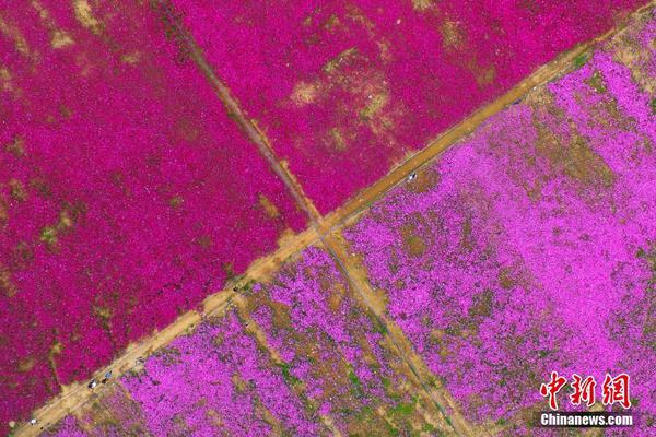 企業(yè)官方網(wǎng)站建設(shè)公司_梅西捧起獎(jiǎng)杯！邁阿密奪得美職聯(lián)東部冠軍！歷史首進(jìn)總決賽！