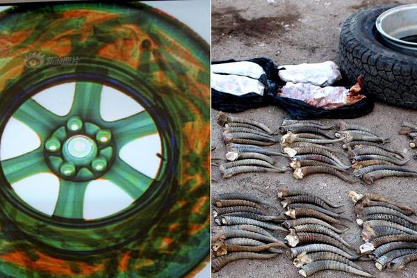 網(wǎng)絡(luò)攻擊和防御分別包括哪些內(nèi)容_火爆海外的望仙谷位于日本東京、北海道？謠言，在中國江西上饒