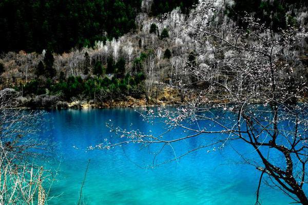 shopee臺(tái)灣站為什么打不開_江蘇鹽城化工廠爆炸廠區(qū)被完全摧毀 核心區(qū)現(xiàn)巨坑