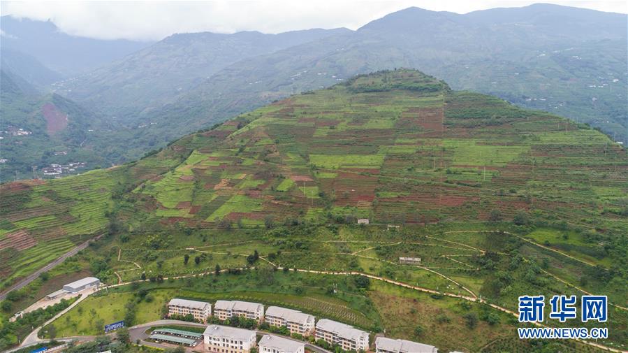 sif關(guān)鍵詞反查工具網(wǎng)址_高清-保羅發(fā)飆哈登被墊腳G1戲太多