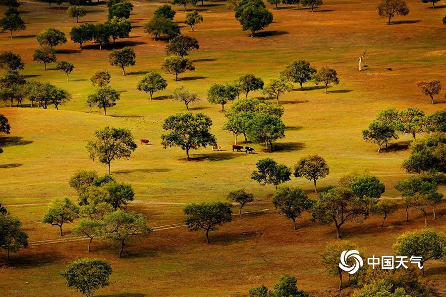 個(gè)人網(wǎng)上理財(cái)_王毅：臺(tái)灣地位已被“七重鎖定”