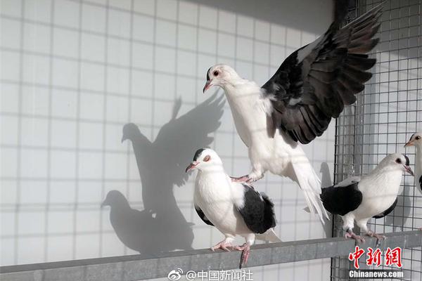 點擊進入專題：遼寧艦編隊遭日機滋擾炒作。_朝青這里拆不拆，官方回復了！