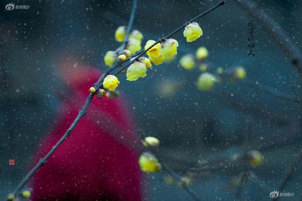 公司外網(wǎng)使用管理規(guī)定_高分房源·近地鐵·享受通勤