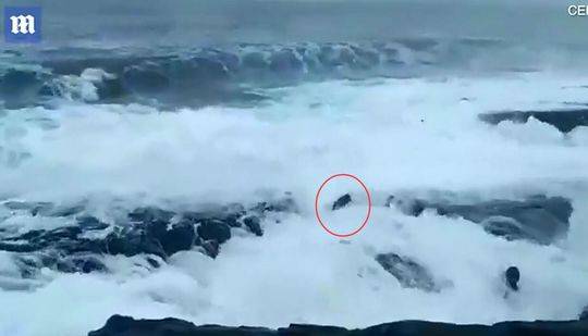 centos7重啟網(wǎng)卡的命令_巴西學(xué)者：高質(zhì)量發(fā)展的中國(guó)經(jīng)濟(jì)是世界經(jīng)濟(jì)主要驅(qū)動(dòng)力