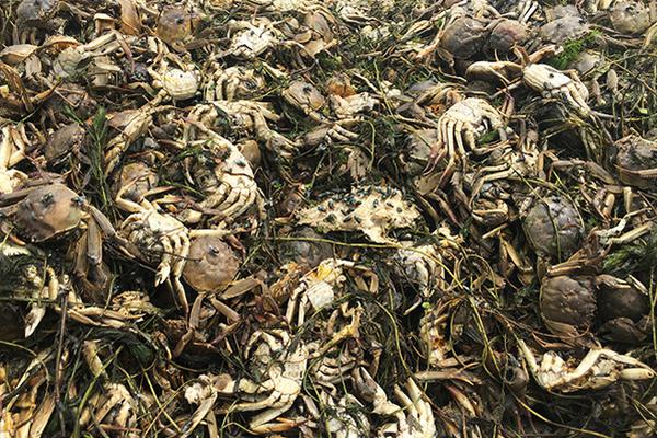 systeminfohelper占用很高_(dá)明年經(jīng)濟(jì)工作政策取向確立了這八個(gè)字