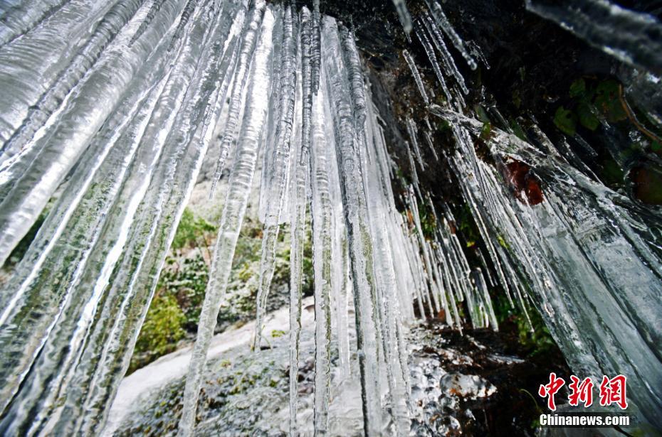 usdt官方錢包_斯通斯、羅德里仍缺席曼城訓(xùn)練，小將穆卡薩、卡通戈被征召