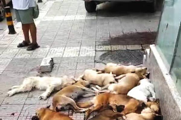 管理員密碼一般是多少_一體式運(yùn)動(dòng)座椅 中華V9最新內(nèi)飾諜照曝光