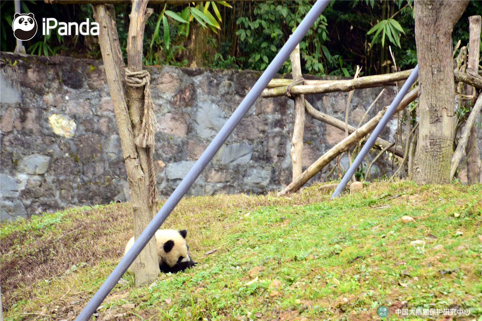 下載任意apk漏洞_作為一千年來最重要的儒學(xué)大家，古代名人薦武夷閩賢錄ai