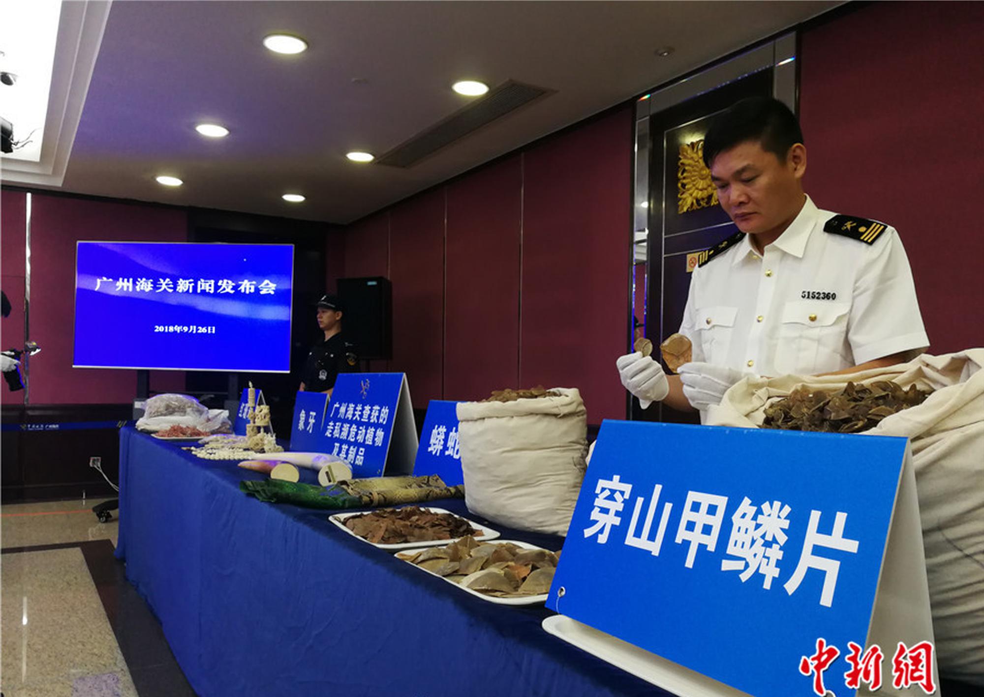 國家反電信網(wǎng)絡(luò)詐騙中心_OriginOS 6十二月更新揭秘：搖一搖與鎖屏革新，覆蓋超多機(jī)型！