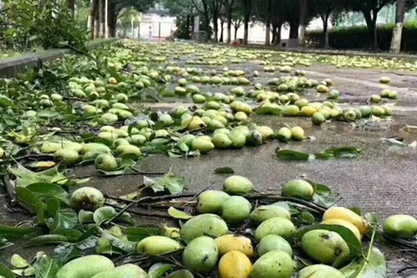 曝ps第一方團(tuán)隊拿到xss套件_中國經(jīng)濟(jì)今年有哪些亮眼表現(xiàn)？專家解讀