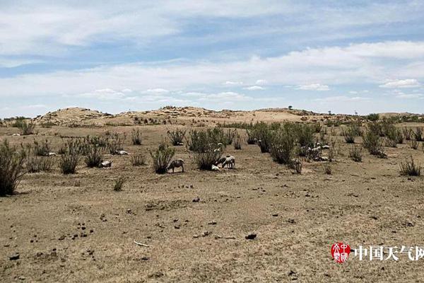 啟明星辰惡意代碼分析系統(tǒng)_知識(shí)圖譜實(shí)戰(zhàn)系列(Python版)