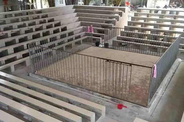 警惕乳腺報告五大信號警報！