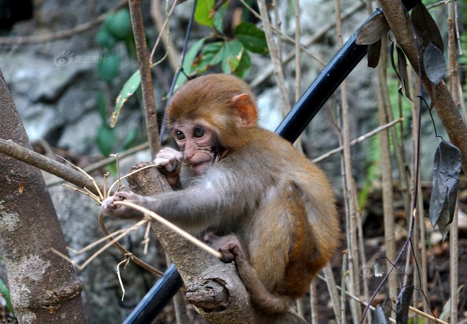 google密碼管理工具_(dá)“大主母”成短劇圈新晉爆款人設(shè)