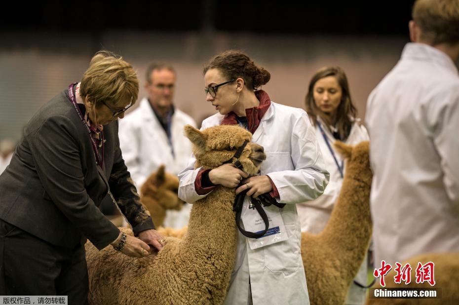 門戶網(wǎng)站的概念_海南島電影節(jié)展映《果然》，李冬梅談女性心靈創(chuàng)痛