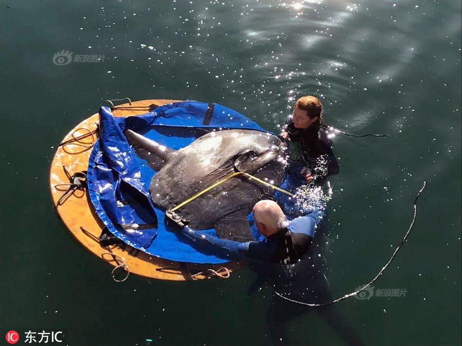 黑客培訓_蘋果芯片業(yè)務負責人澄清：近期沒有離職打算