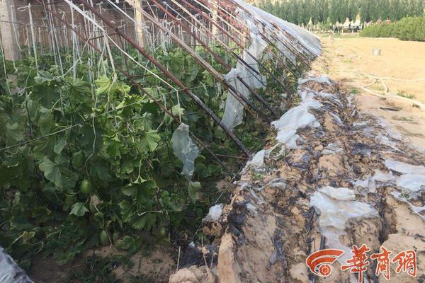 html底部復(fù)制客服微信代碼_何穗陳偉霆隔空搭老錢風(fēng)，甜蜜示愛笑意滿