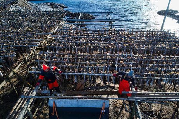 woldpress_[公益]網(wǎng)易向杭州捐贈(zèng)首批4000件抗疫物資