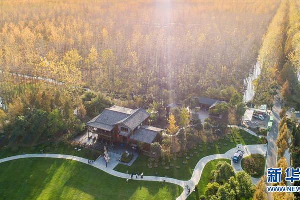 wordpress網(wǎng)站模板帶后臺(tái)_朋友送的“護(hù)身符”，核輻射超標(biāo)1686倍！