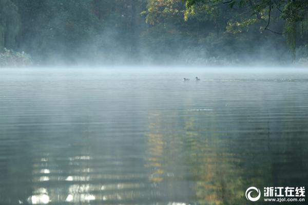 youtube油管高清視頻下載_重慶參與“一帶一路”建設(shè)沿