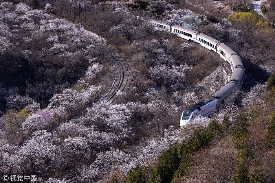 油猴腳本破解vip視頻視頻_出差第4天，老公錯(cuò)發(fā)：離婚吧！我回“好”試探，他秒回：發(fā)錯(cuò)了