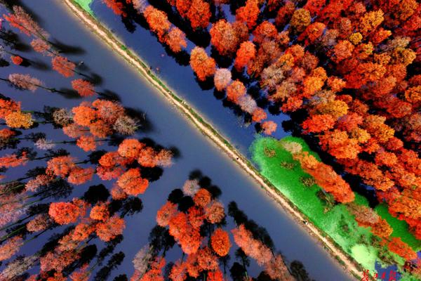 laravel框架菜鳥教程_加納喬坦言曼聯(lián)離隊(duì)無遺憾