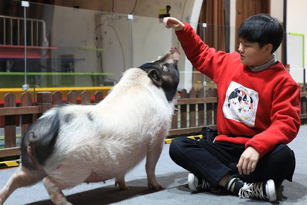 游戲外掛編程教程_河北尚義鴛鴦湖滑雪場(chǎng)全力備戰(zhàn)新雪季 預(yù)計(jì)元旦迎客