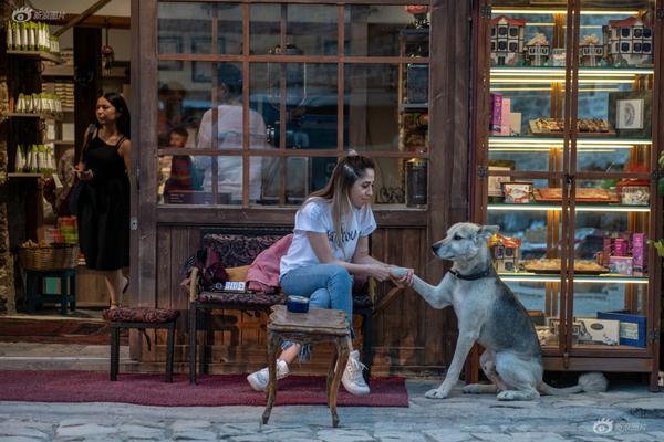 有什么可以自學(xué)的網(wǎng)站么_民族之痛，永不敢忘！