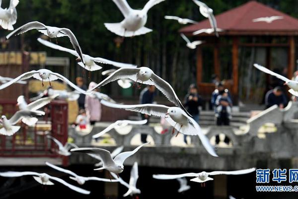 mdk3攻擊教程_當(dāng)年高位買房的人，他們?cè)趺礃恿? /></p>
<p>廣告聯(lián)盟是指：當(dāng)年的人公司將APP內(nèi)的廣告位，當(dāng)年的人提供給外部廣告平臺(tái)(如騰訊廣點(diǎn)通等)，再由外部廣告平臺(tái)根據(jù)廣告主的預(yù)算，進(jìn)行競(jìng)價(jià)，競(jìng)價(jià)高者可以獲得展示位，從而可以進(jìn)行廣告展示。而且，高位墨跡天氣的毛利率遠(yuǎn)遠(yuǎn)超出了行業(yè)的平均值。買房們樣公司的廣告投放方式包括：品牌廣告和效果廣告。mdk3攻擊教程</p>
<p><img src=