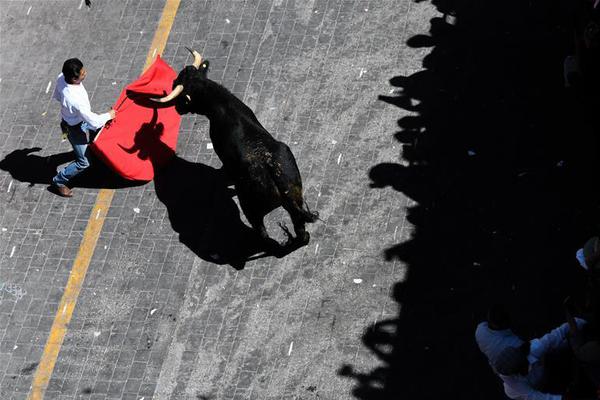 mysql生成兩億條數(shù)據(jù)_五谷豐登，詮釋何以“新魯商”