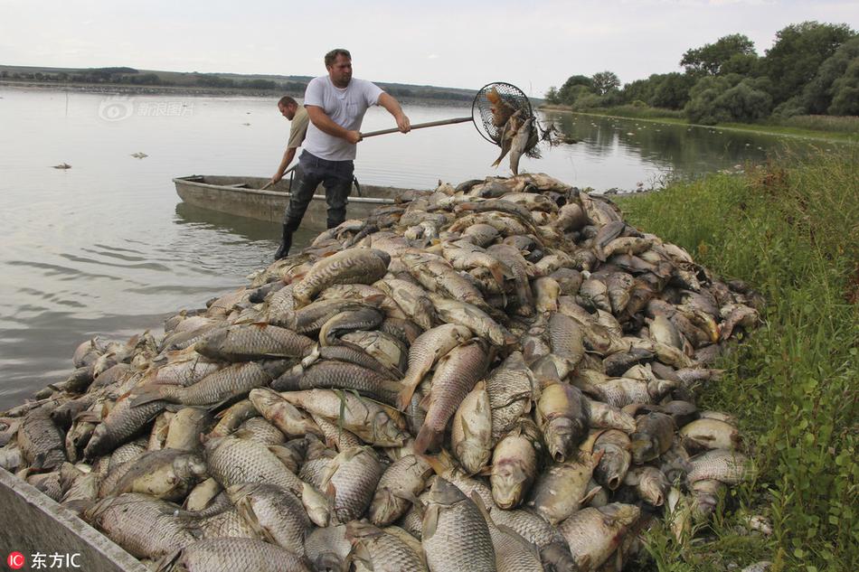安徽蚌埠淮上區(qū)：“三治”融合引領(lǐng)文明新風