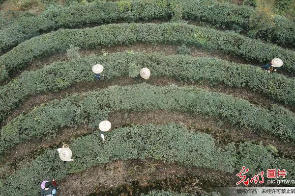 在線端口掃描器端口開放檢查_??詹庫東字班可能均無緣評獎？記者曬可能無緣65場標(biāo)準(zhǔn)的球星們