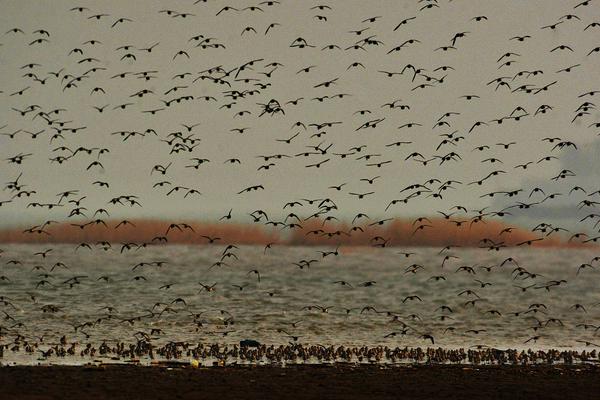 世界級勒索病毒強(qiáng)力防_新年禮物清單已送達(dá)，來看看哪些讓你心動了呢