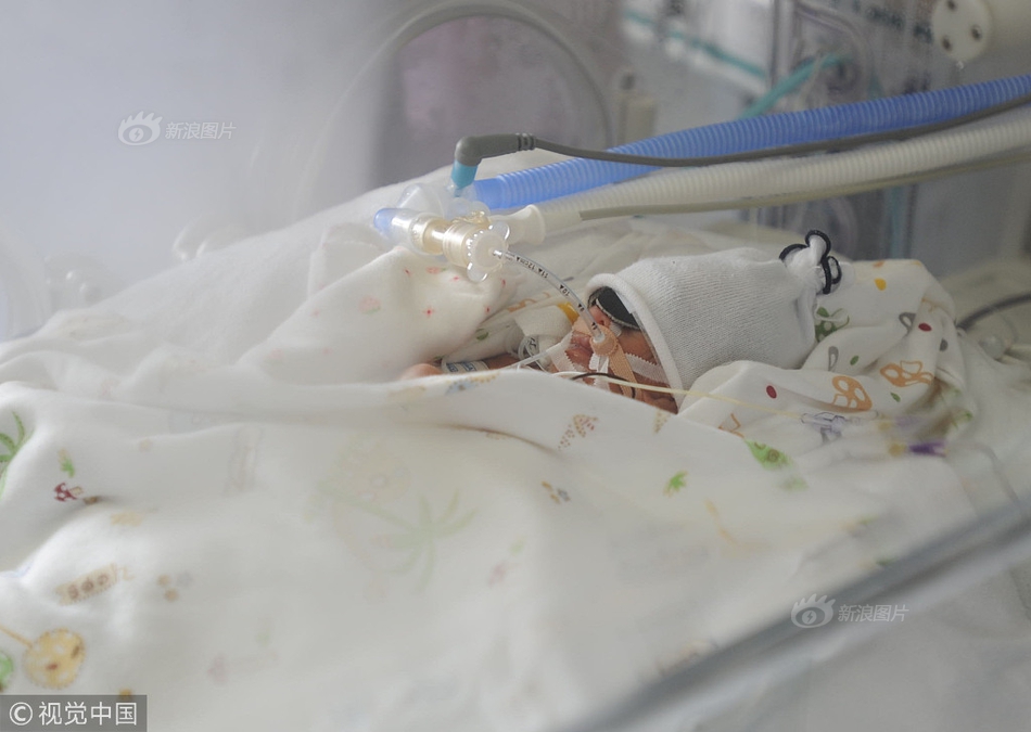 多省份“十五五”規(guī)劃建議觀察