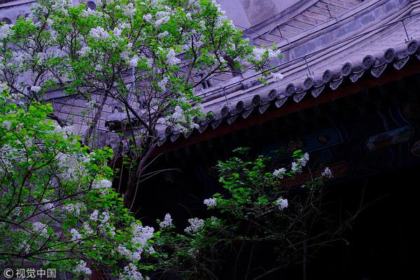 程序代碼代碼大全_法國(guó)藝術(shù)家貝納維內(nèi)紀(jì)念雕塑捐贈(zèng)儀式在北京舉行