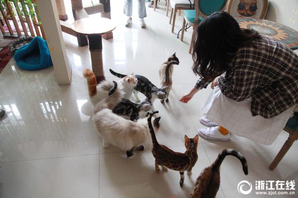 怎么破解收費(fèi)軟件_當(dāng)前中日關(guān)系緊張未引起中國普通民眾共鳴？外交部回應(yīng)