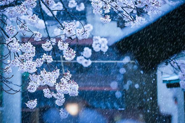 怎么刪除網(wǎng)頁登錄的一些賬號和密碼_四川一義警隊伍制服被指與警服相似（圖）
