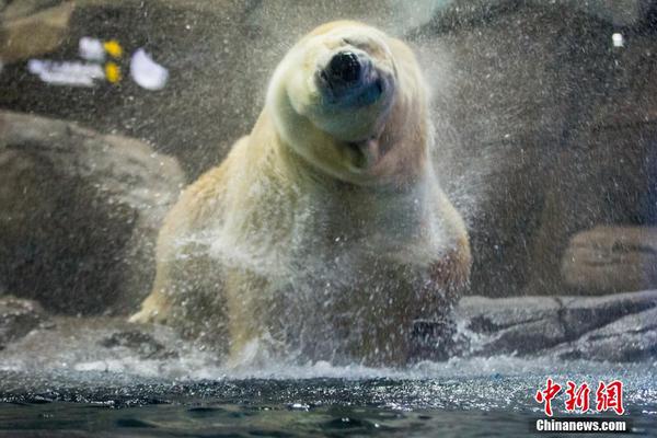 梅西大戰(zhàn)穆勒??美職聯(lián)總決賽：12月7日3點30邁阿密國際主場vs溫哥華白浪