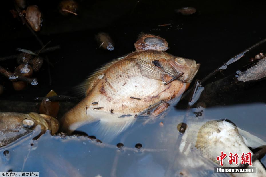 刷機代碼2003_ZywOo：懷念作為熱門隊伍的壓力感