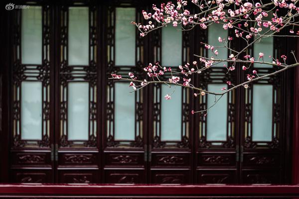 刷機代碼2003_ZywOo：懷念作為熱門隊伍的壓力感