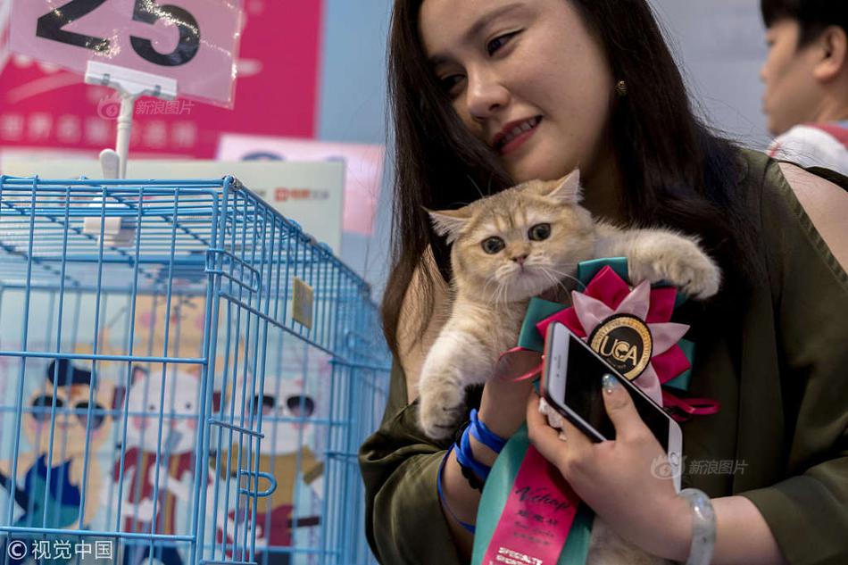 python內(nèi)存泄露_深圳9歲男童遭3只大狗追攆，狗主人全程淡定