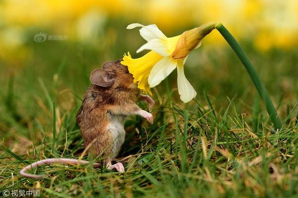 零基礎(chǔ)編程入門自學(xué)先學(xué)什么_這樣玩PS我外快比工資掙得多