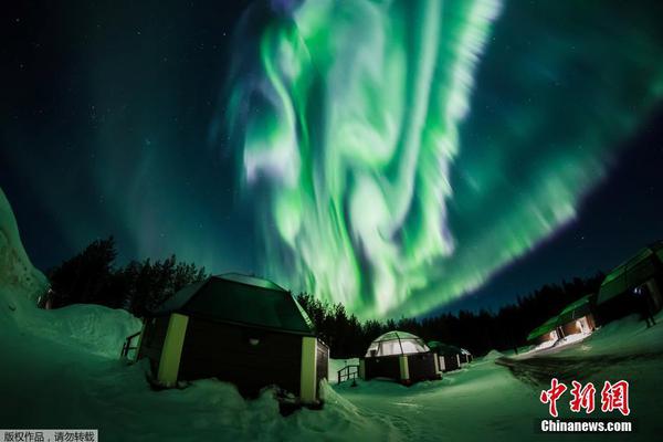 rohs報告怎么查真假_"一家5口被害案"兇手獲死刑后上訴