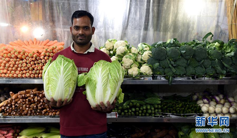 漏洞掃描系統(tǒng)可以用于發(fā)現(xiàn)網(wǎng)絡(luò)入侵者_(dá)章子怡帶女兒去農(nóng)場 醒寶生吃胡蘿卜表情一言難盡