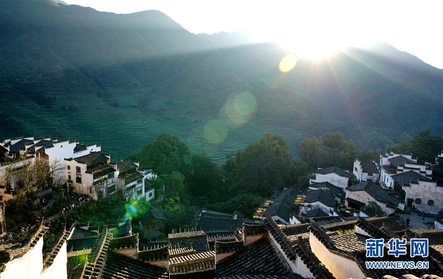 ruby云日常登陸器_愛“欺負(fù)”老人和孩子的呼吸道合胞病毒，如何應(yīng)對(duì)？