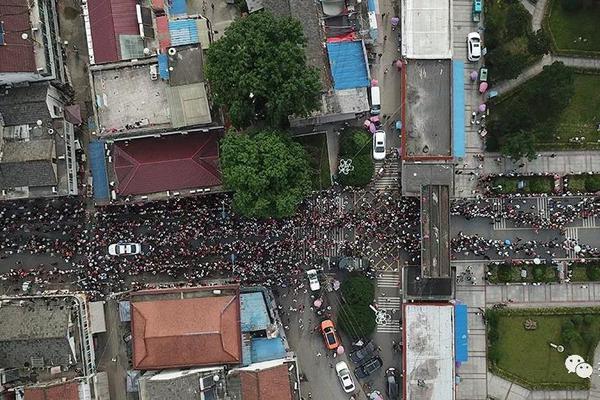 淘寶卡密自動發(fā)貨軟件_2023年中國家電行業(yè)年度報告重磅發(fā)布