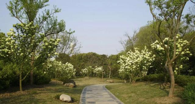 網(wǎng)絡(luò)快三算法_鄂爾多斯市高質(zhì)量發(fā)展有“心勁” 團(tuán)結(jié)一心 文明潤心 幸福暖心