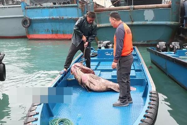 偷換二維碼構(gòu)成盜竊罪還是詐騙罪劉鳳科_放下助人情節(jié)，尊重他人命運(yùn)